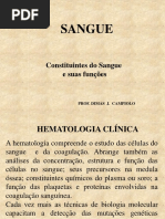 Componentes Do Sangue - Aula 1.Ppt