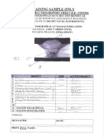 Macro Sample PDF