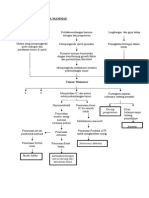 Pathway Tumor Mammae