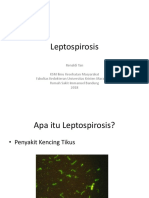 MT Leptospirosis