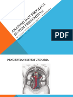 Anatomi Dan Fisiologi Sistem Perkemihan