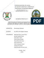 Informe 1 Microbiologia