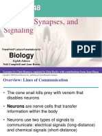 Teori Fisiologi Hewan "Neurons, Synapses, And Signaling" by Bu Indri Garnasih