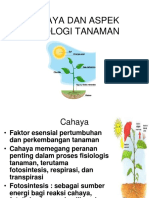 Teori Ekologi Terestrial "Cahaya Dan Aspek Fisiologi Tanaman" by Bu Fahma Wijayanti