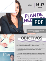 Brochure Plan de Negocio Opt