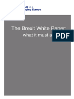 Brexit White Paper