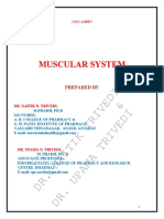 Muscular System