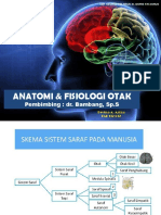Anatomi Dan Fisiologi Otak
