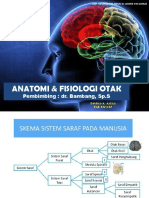 Anatomi dan Fisiologi Otak