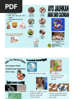 Leaflet Diabetes Mellitus