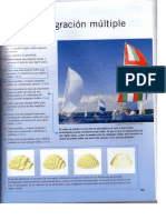 Matematica III Integrales Dobles y Triples PDF