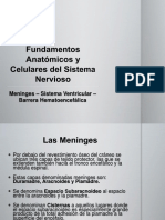 Unidad I. Meninges - Ventrículos - Barrera Hematoencefálica.pptx