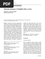 Download Molecular Phylogeny of Mugilidae Fishes Revised by Vineet Dubey SN38380111 doc pdf