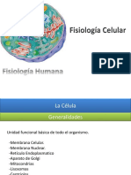 01 Fiisologia de La Celula