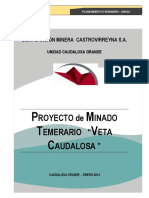 1.1.- PROYECTO DE PLAN DE MINADO TEMERARIO -2014.docx