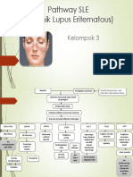 Sistemik Lupus Eritematous (SLE) Pathway