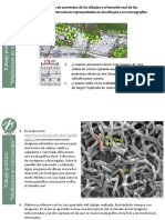 03 - Mediciones Microscopía PDF