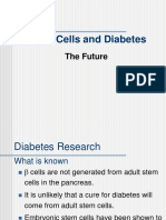Stem Cells and Diabetes: The Future