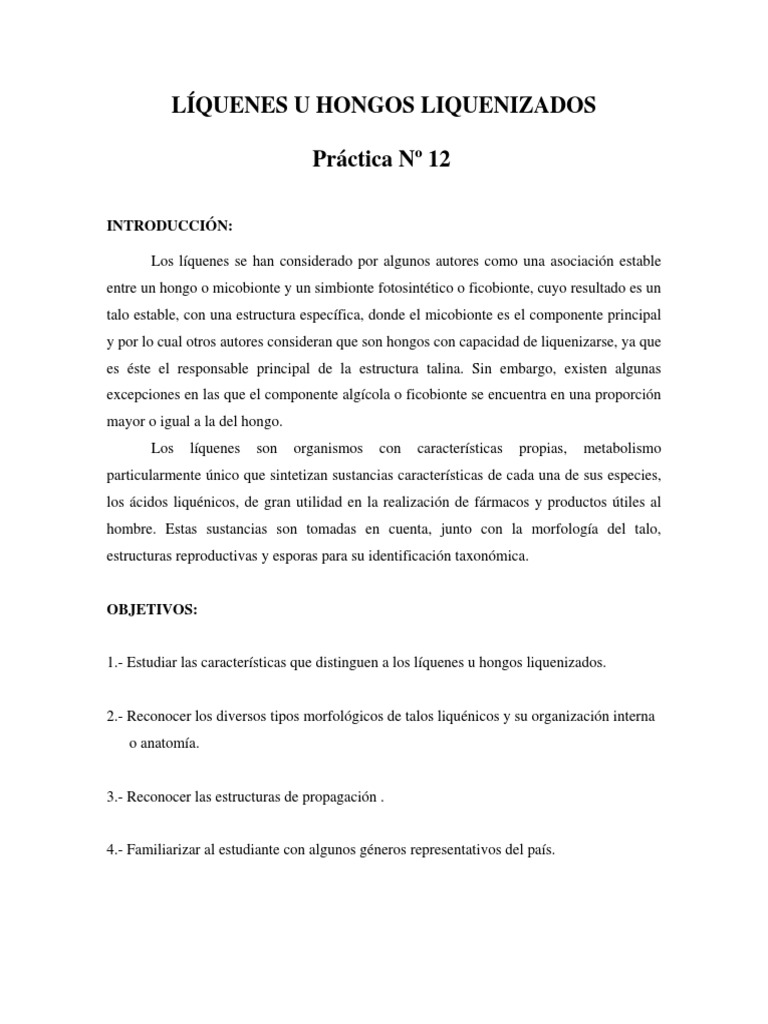 12 Hongos Iii Liquenizados Pdf Eucariotas Hongo