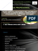 Tesis Profesional