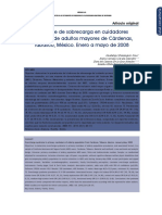 sobrecarga_cuidador_de_PM.pdf