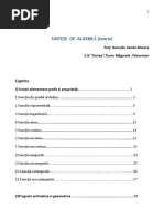 Sinteze Algebradescultu Sanda
