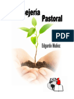 13-_Consejería_Pastoral_2011_ERM.pdf