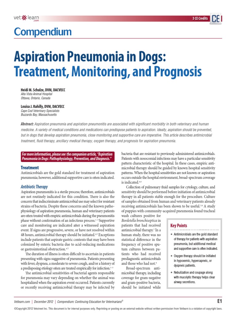 Aspiration Pneumonia in Dogs Treatment, Monitoring, and Prognosis