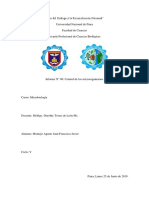 Informe 6 de Microbiología