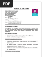 Curriculum Vitae