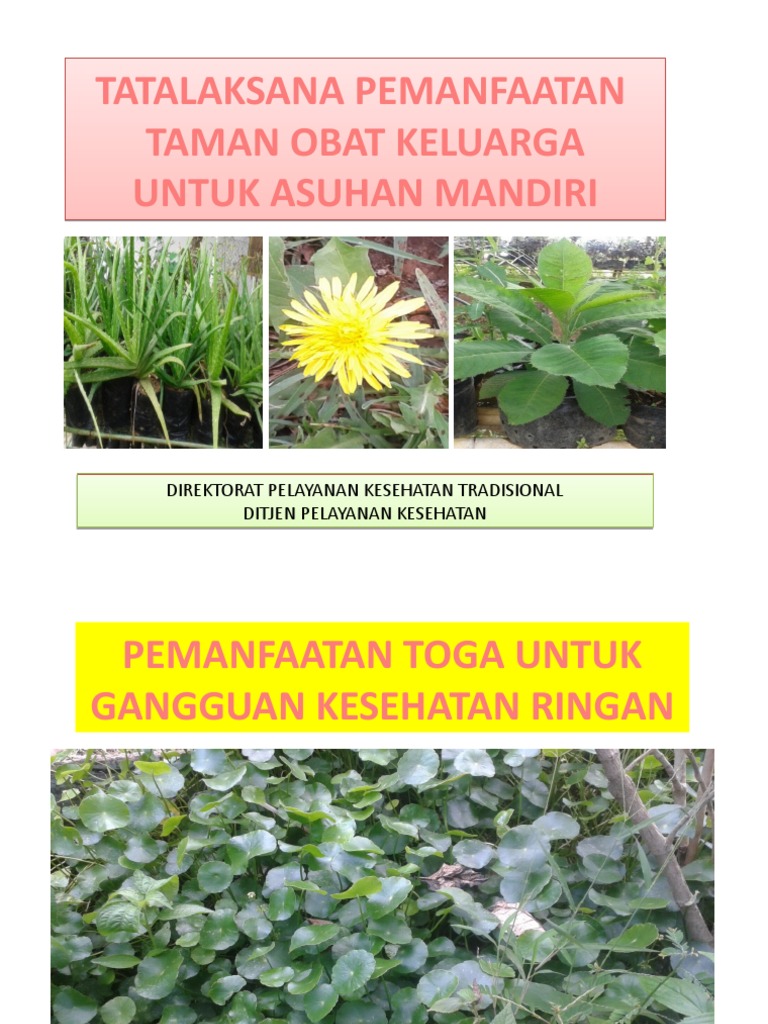 Resep Ramuan Tradisional | PDF