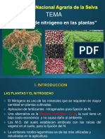 12-Fijacion de N en Plantas