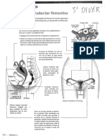 div3u4TextoExamen