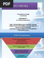 Ppt Bedah Batu Uretra