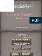 Procesos Cognitivos Basicos