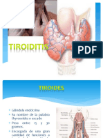 Glándula tiroides y sus funciones