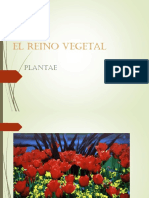 Reino Vegetal