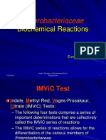 Enterobacteriaceae-biokimia test(1).ppt