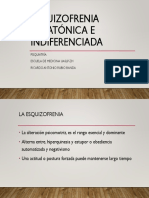 Esquizofrenia Catatónica e Indiferenciada