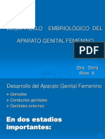 Embriol. - Ap. Femenino - 18