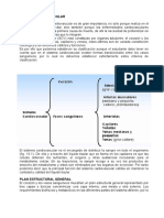 sistema_cardiovascular.pdf