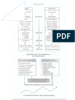 28.- Esquema Del Procedimiento de Evaluacion