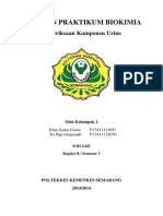 pemeriksaan_kualitatif_urin.docx