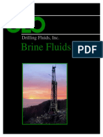 Brine fluids.pdf