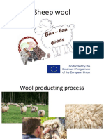 Sheep Wool