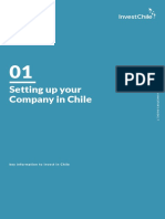 Company Chile