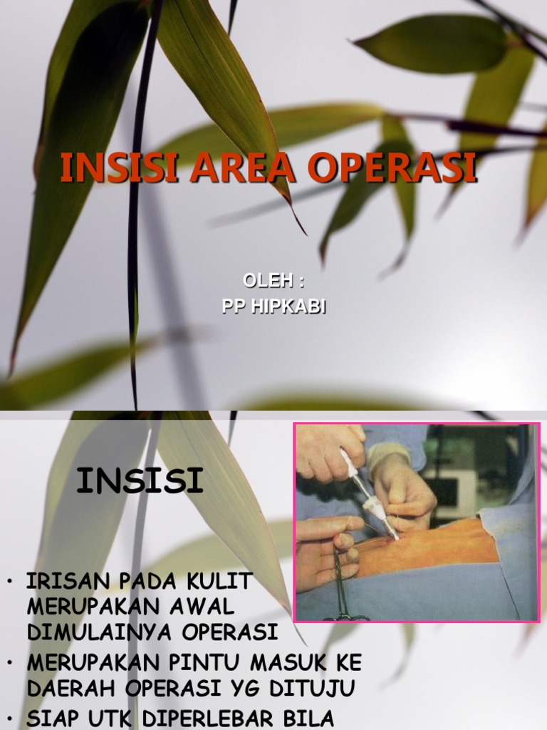 INSISI Area Operasi PDF