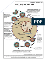 HIV-siklus Hidup PDF