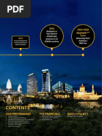 2015 2016-2020 Maybank: Our Performance The Financials Basel Ii Pillar 3