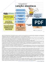 Absolvição Sumária Processo Penal Mapa Mental